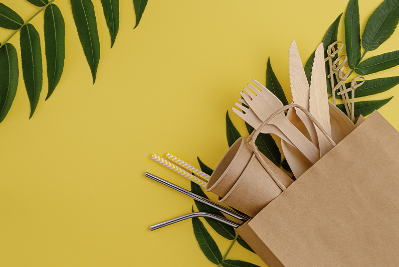 Zal wegwerpservies het milieu vervuilen?