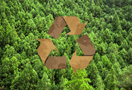 FSC-, EUDR- en PEFC-gids voor de inkoop van wegwerpcateringbenodigdheden